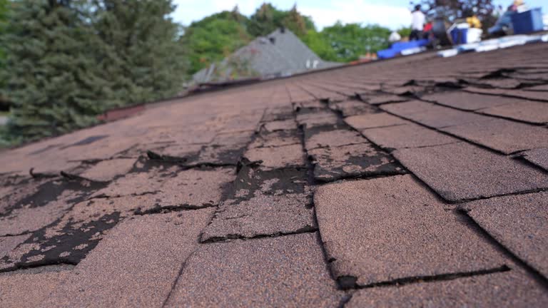 Best Metal Roofing Installation  in Rossmoor, CA
