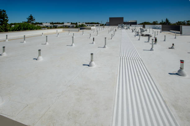 Best Gutter Replacement  in Rossmoor, CA